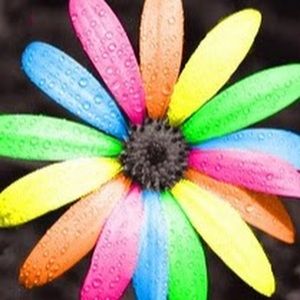 Meet your Posher, Kristin